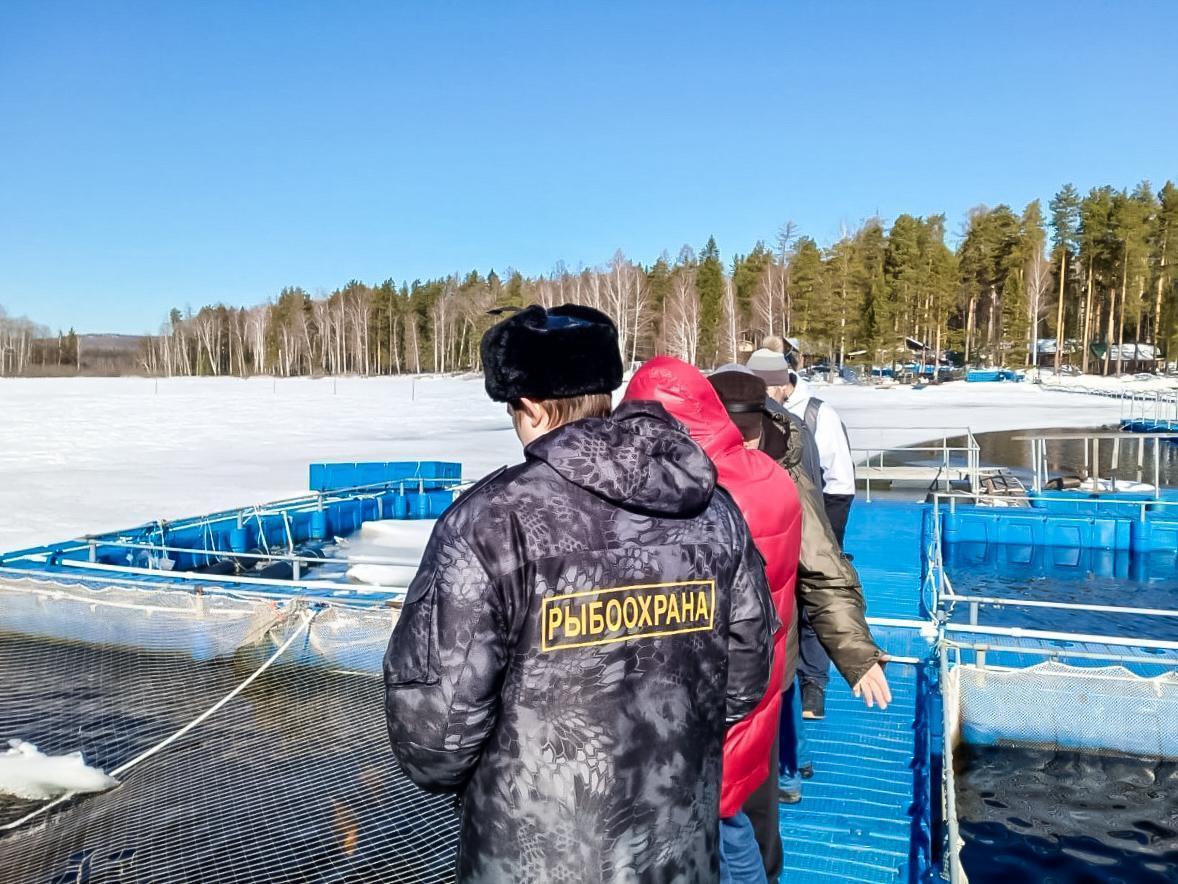 Закон о рыболовстве склонен к изменам — правовое поле — Бизнес-газета «Наш регион — Дальний Восток»